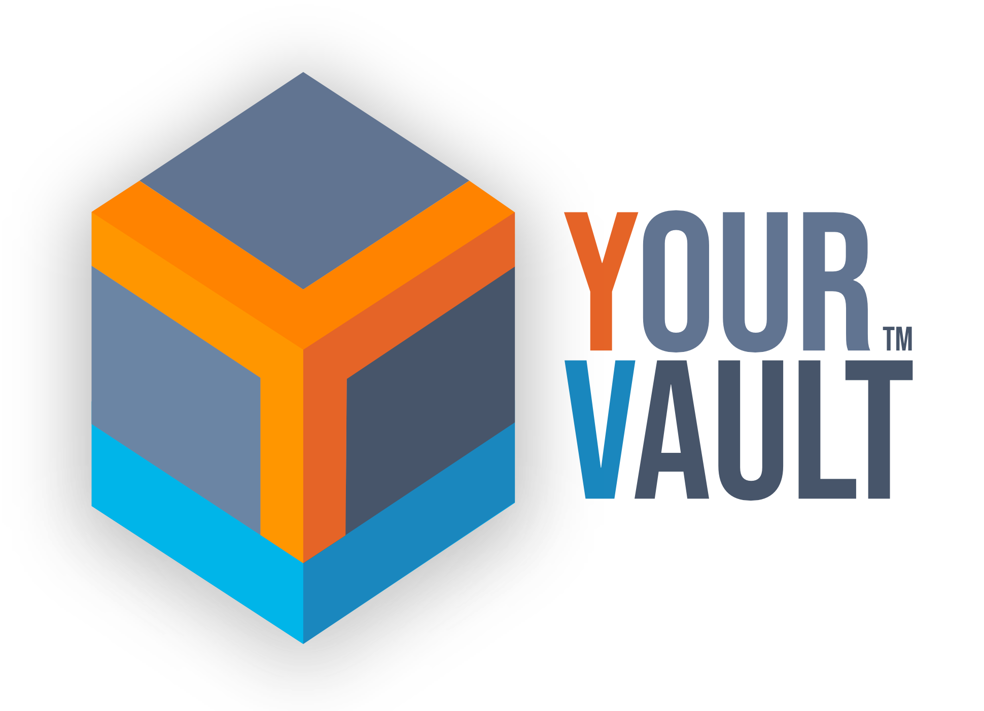 YourVault.AI Logo